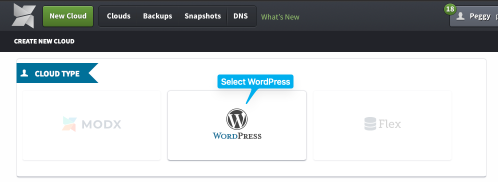 cloud-wp-install-type.png
